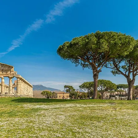 Amazing In Laura With Outdoor Swimming Pool Holiday home Paestum